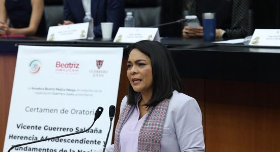 senadora-Beatriz-Mojica-exige-justicia-por-asesinatos-en-Guerrero